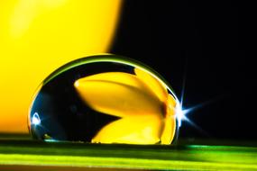 Drop Of Water macro photo