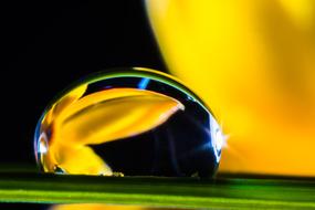 Water Drip on Grass close-up on blurred background