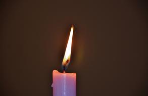 pink Candle burning in darkness