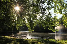 Lake Water Sun