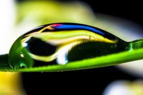 Drop Water close up