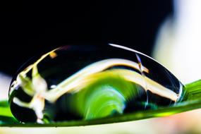 water drop on green leaf on blurred background