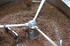 Coffee bean processing