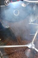 coffee production
