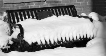 Snow Bench White