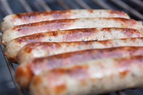Bratwurst Sausage Sausages