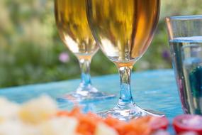 Garden Party Beer Festival