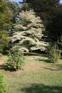 Botanical Garden Verbania