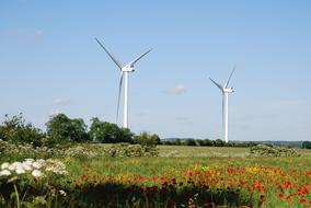 landscape of Wind Turbines Farmland