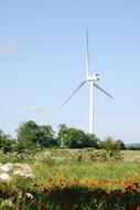 Wind Turbines Farmland