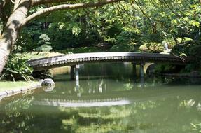 Bridge Wood Peaceful Spot