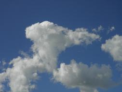 Cloud White Sky Blue Nice Weather