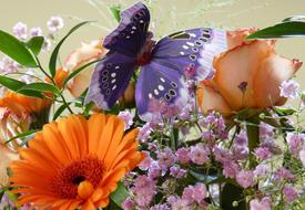 Butterfly Birthday Bouquet