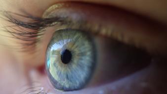 Eye Blue Eyeball