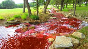 River Red Color Blood