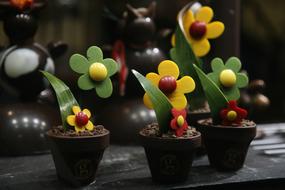 Flower Sweet Delicious chocolate