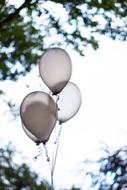 Balloon Balloons Party