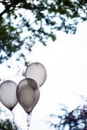 Balloon Balloons Party