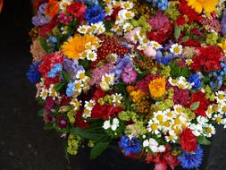 Summer colorful Flowers bouquet