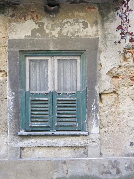 Window Green Curtain