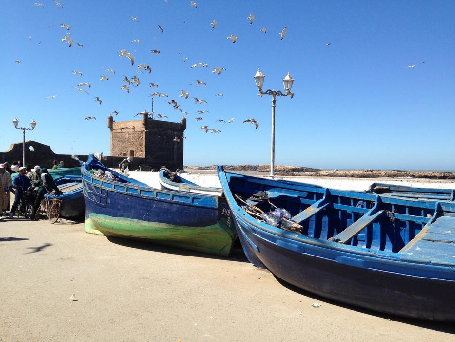Fishing Blue Boats