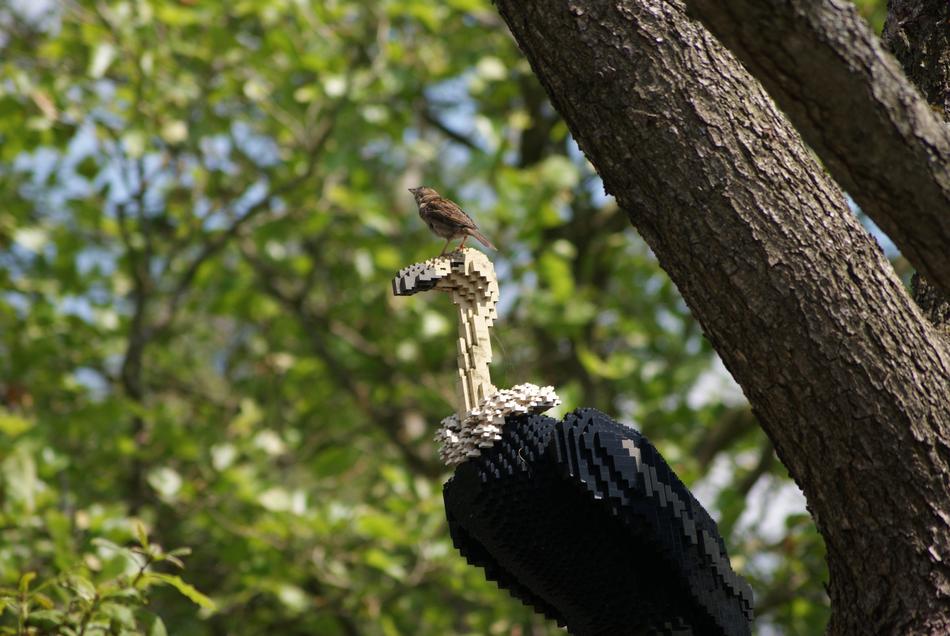 Lego The Sparrow Vulture