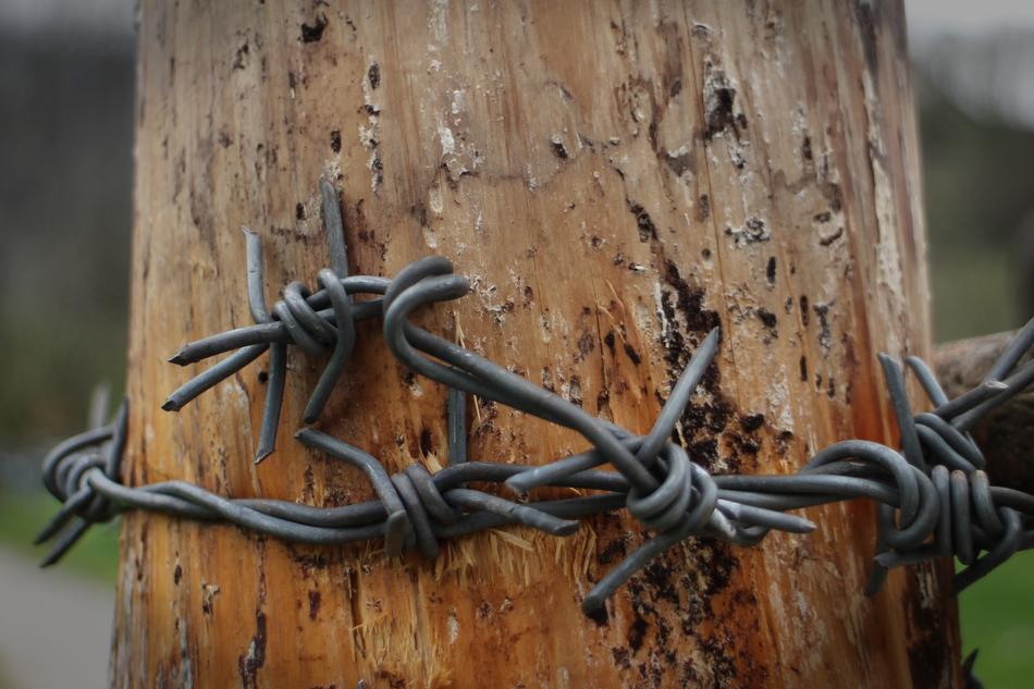 Barbed Wire Pointed