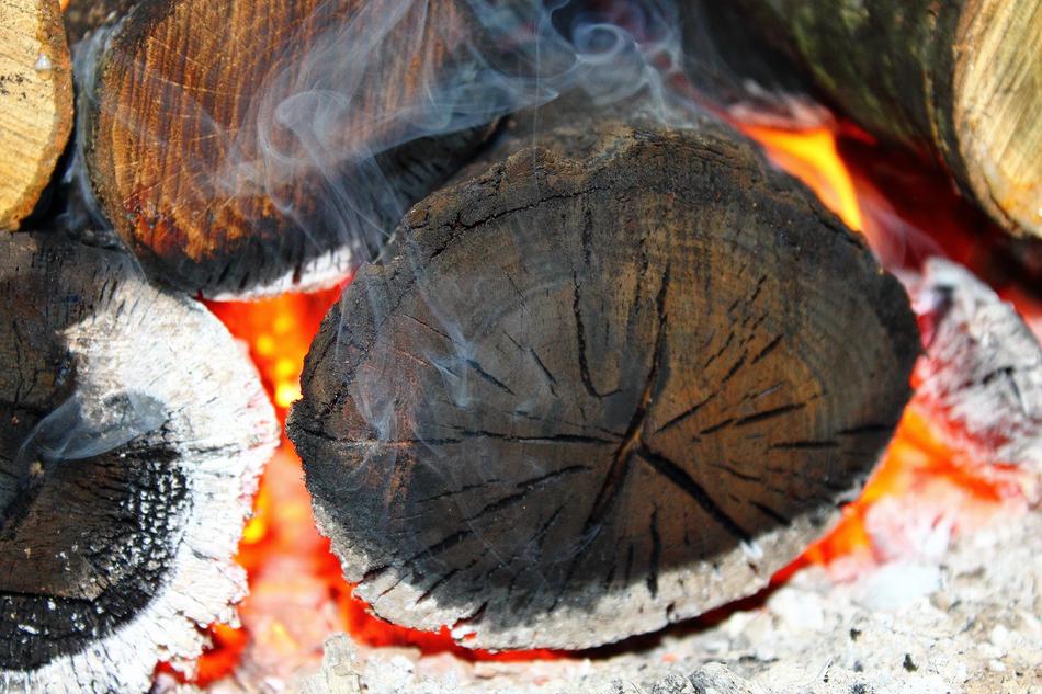 The Flame of Fire Wood