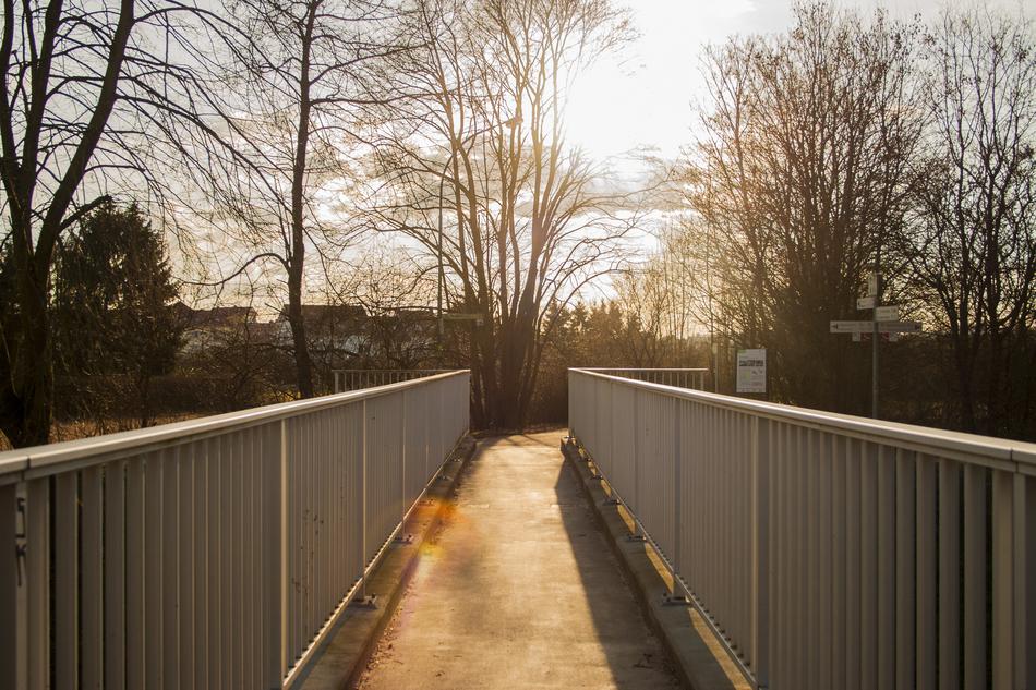 Bridge Pedestrian Transfer