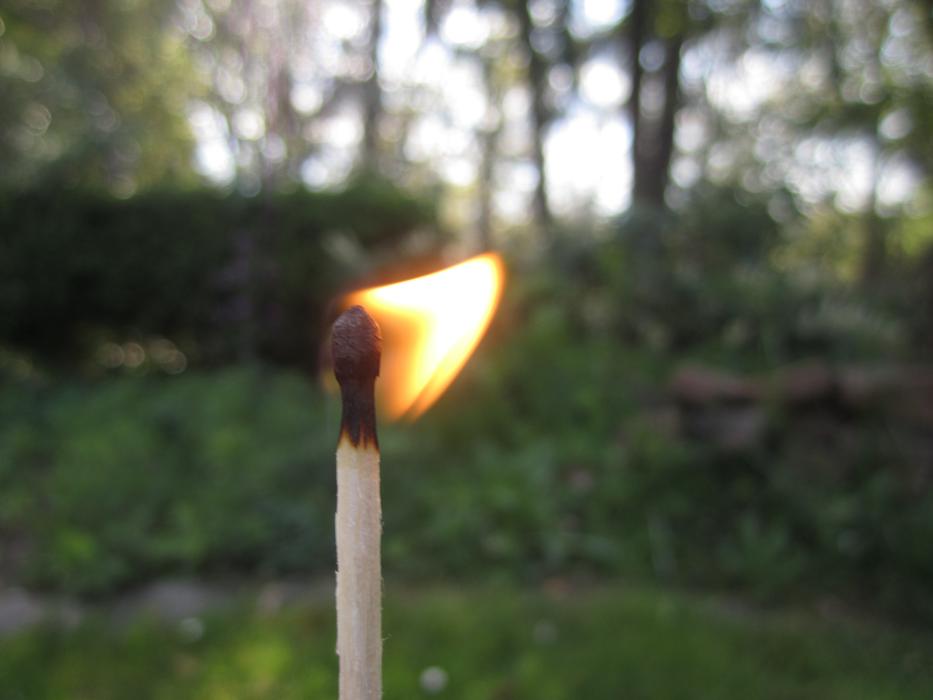 burning match on a background of green plants
