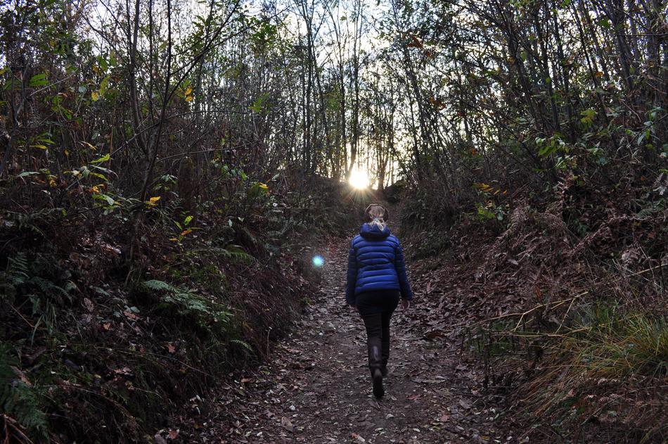 Hiking Blonde Trail