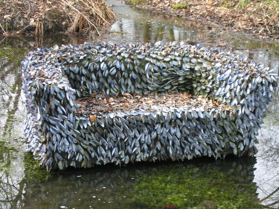 Bank Sit Water