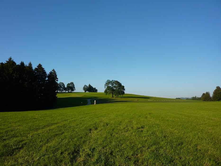 Allgäu M Farms Gestratz