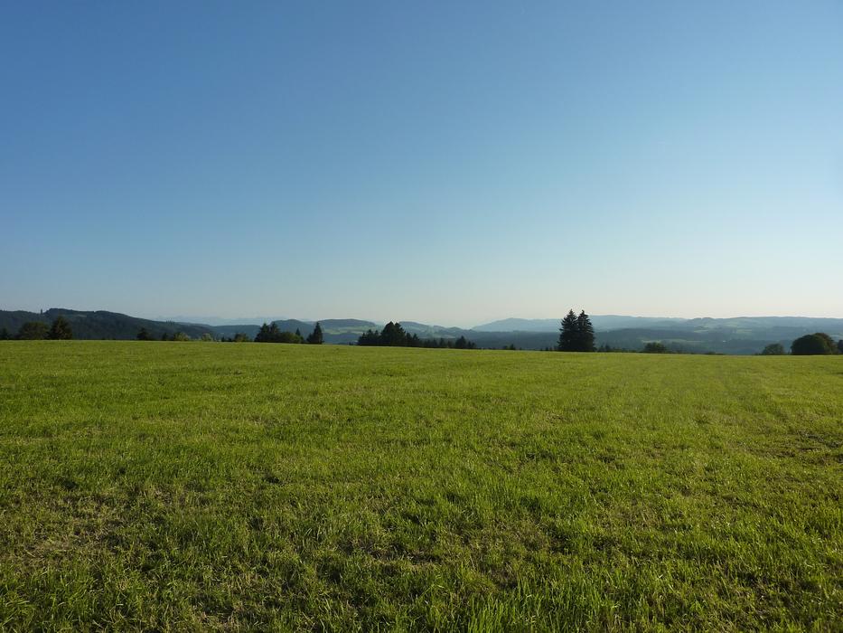 AllgÃ¤u M Farms Gestratz