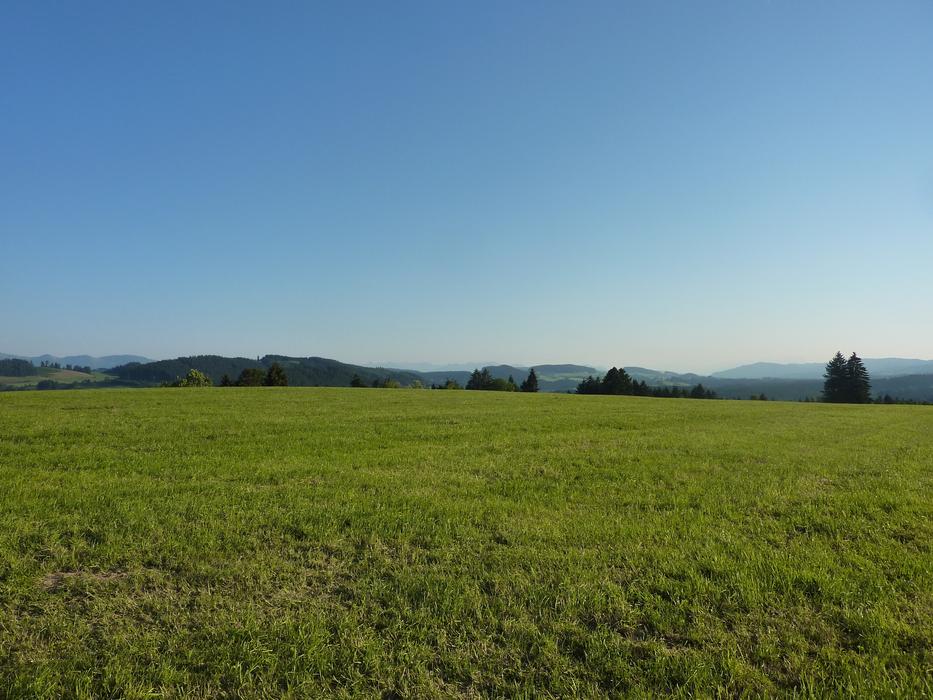 AllgÃ¤u M Farms Gestratz