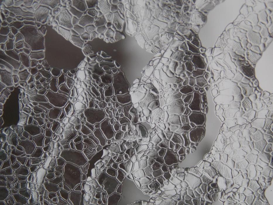 Ice Fractals Frozen