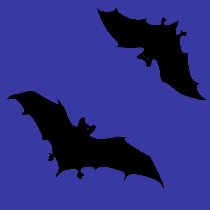 bats dark black figure