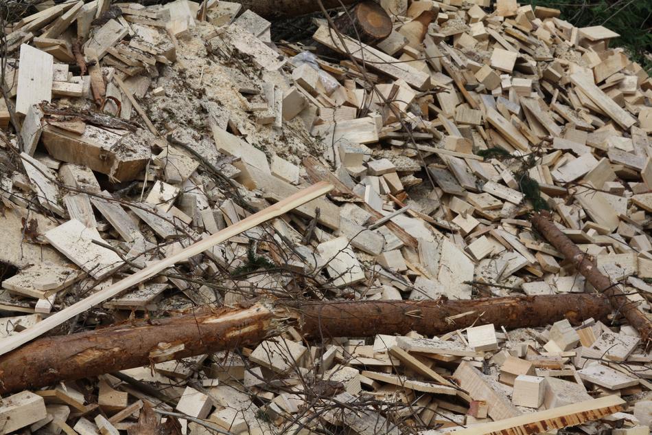Wood Biomass