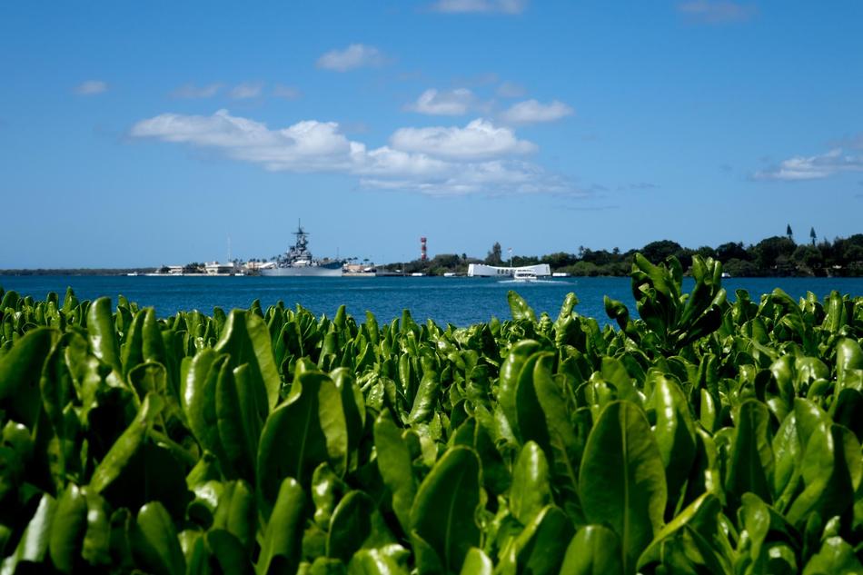 Hawaii Honolulu Pearl