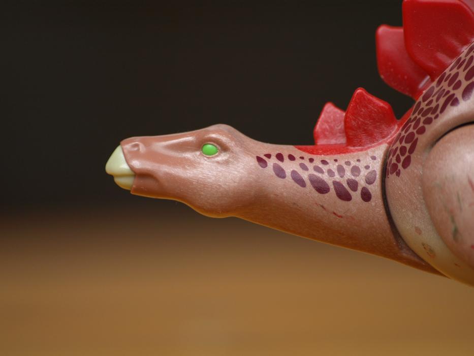 Stegosuarus Dinosaur Dino