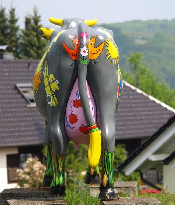 Cow Back Colorful