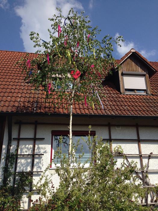 Maypole 1 May Set up