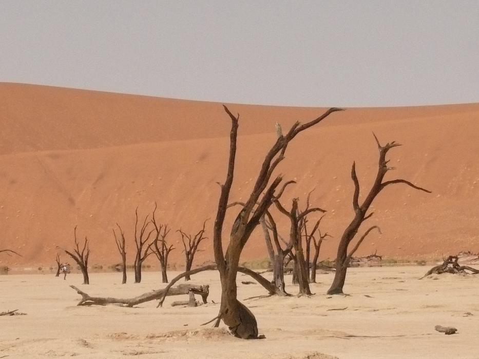 Deadvlei Sahara Dead Vlei
