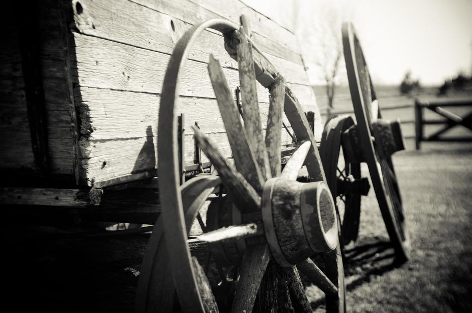 Waggon Wheels Old Wild