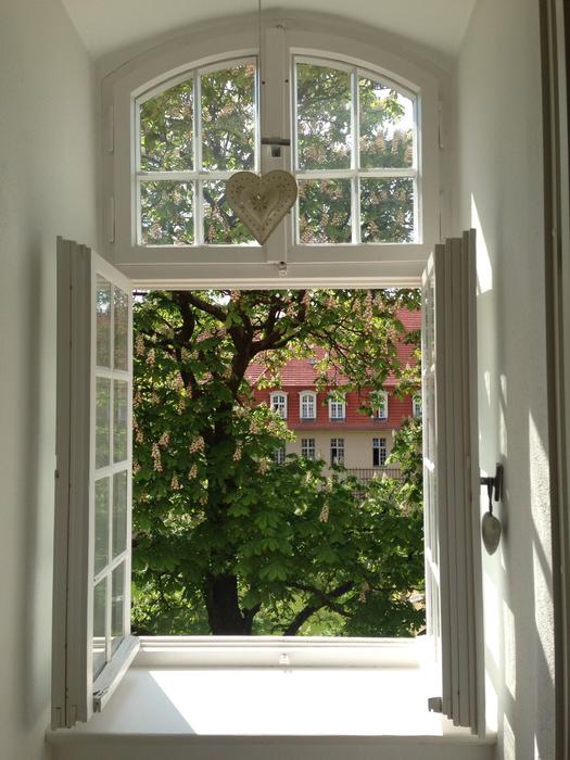 White window with the heart, and beautiful and colorful spring view with the plants and buildings