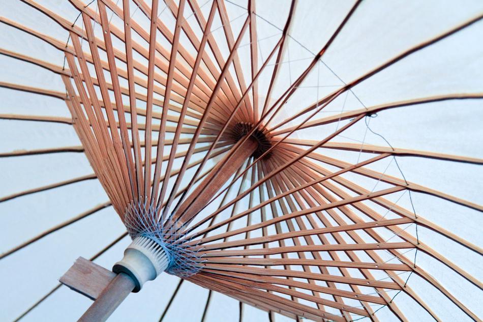 Umbrella Spokes Canopy