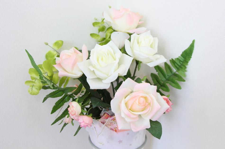 Rose Rosaceae Pink