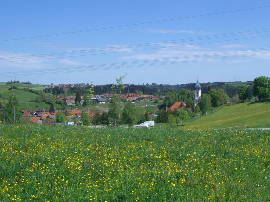 Nesselwang Flower Meadow