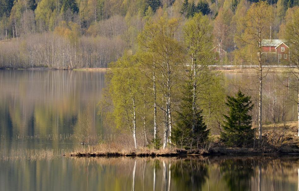 Water Green