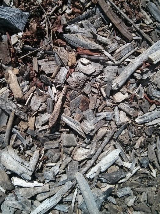 old Wood Chips